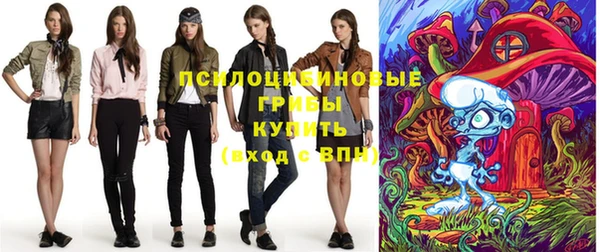 молекула духа Карпинск
