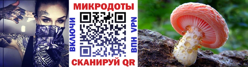 Купить где  Железноводск  Галлюциногенные грибы Psilocybe 