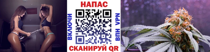 Купить закладки  Железноводск  МАРИХУАНА MAZAR 